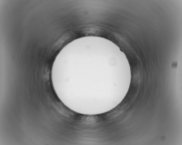 X0000089830282200707262030