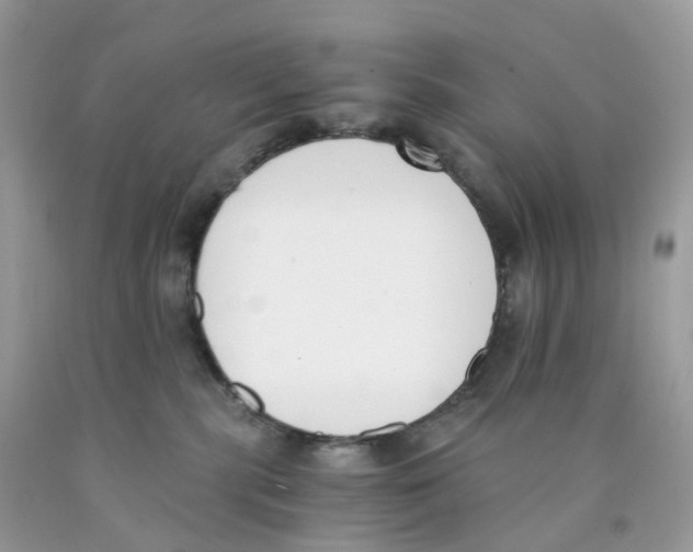 X0000089830283200707262030