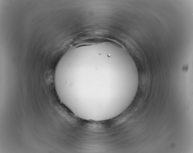 X0000089830284200707262030