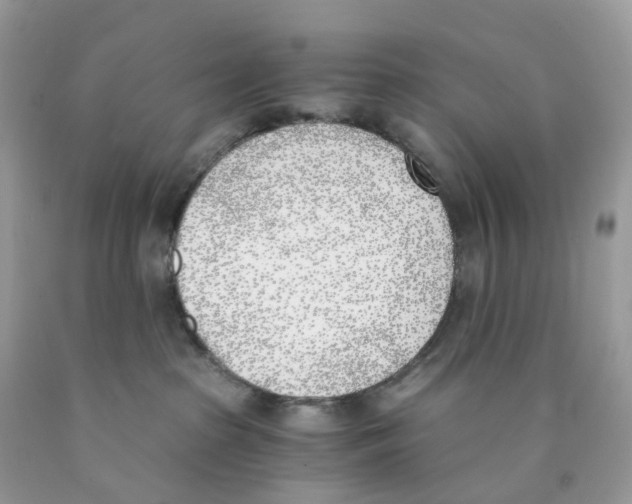 X0000089830285200707262030