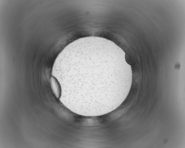 X0000089830286200707262030