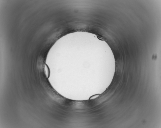 X0000089830287200707262030