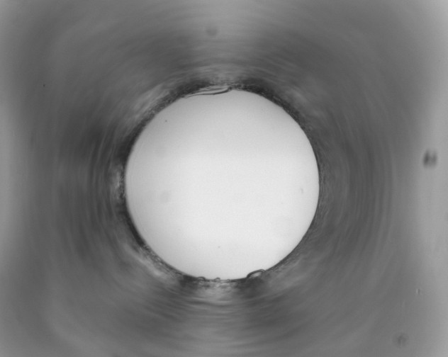 X0000089830288200707262030