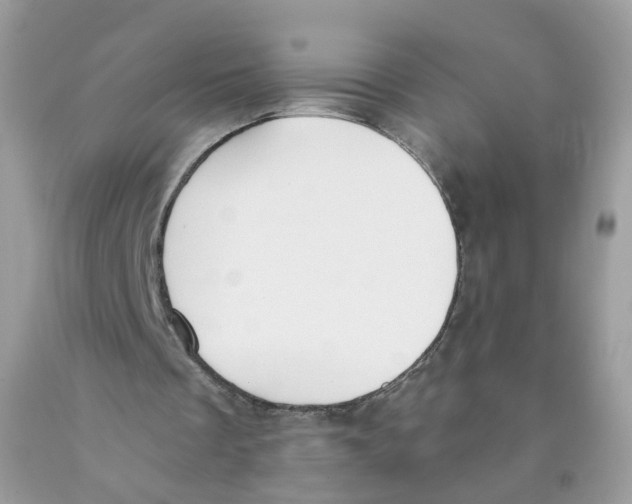 X0000089830289200707262030