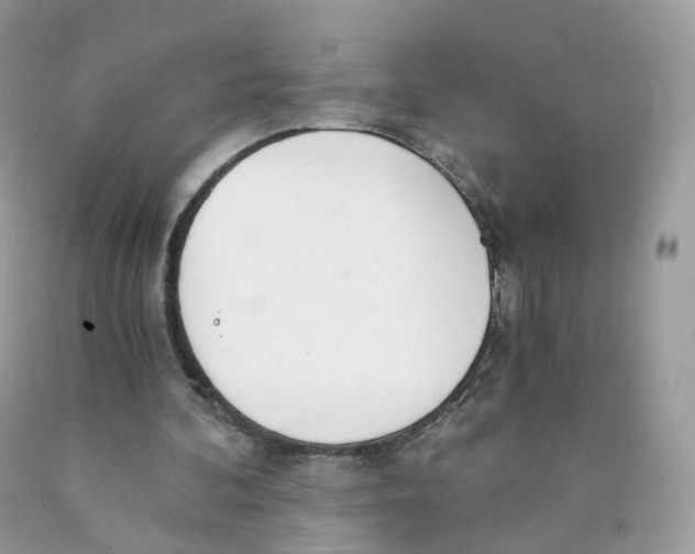 X0000089830292200707262029