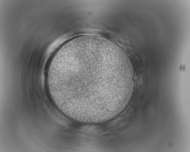 X0000089830294200707262029