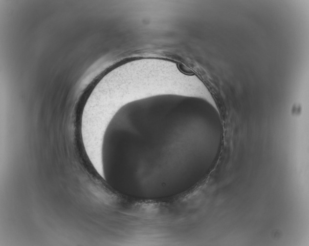 X0000089830295200707262029