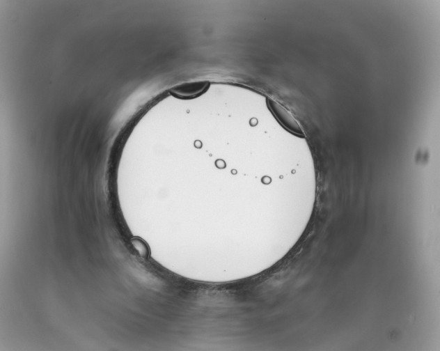 X0000089830296200707262029