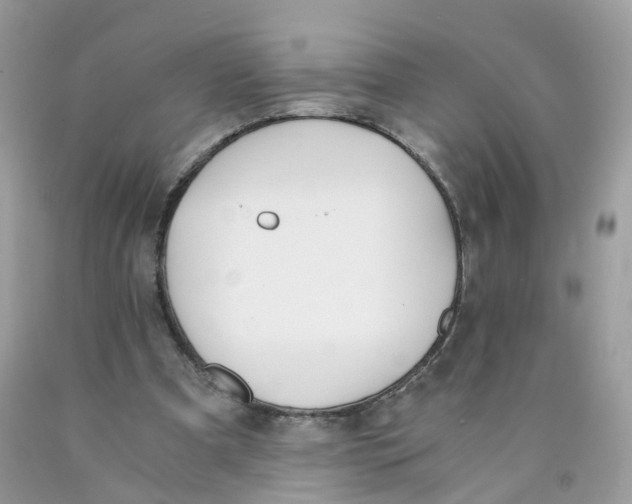 X0000089830297200707262029