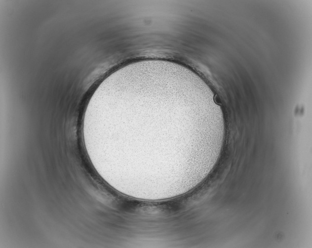 X0000089830299200707262029