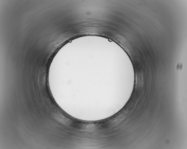 X0000089830301200707262029