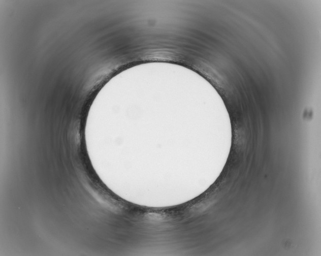 X0000089830302200707262029