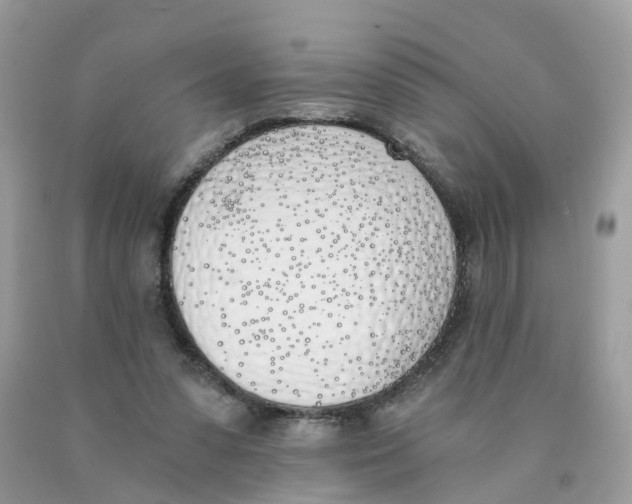X0000089830303200707262029