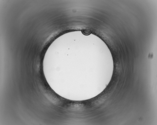 X0000089830304200707262029