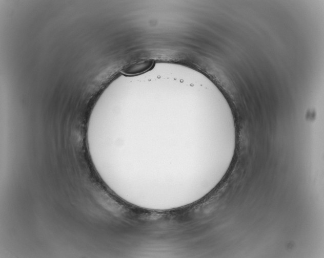 X0000089830305200707262029