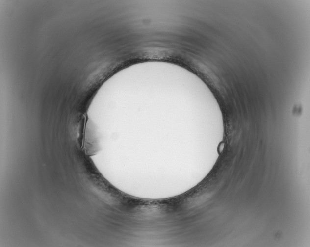 X0000089830307200707262029