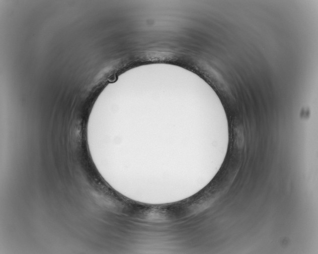 X0000089830308200707262029