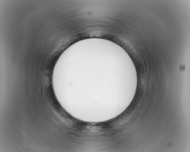 X0000089830311200707262029
