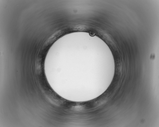 X0000089830312200707262029