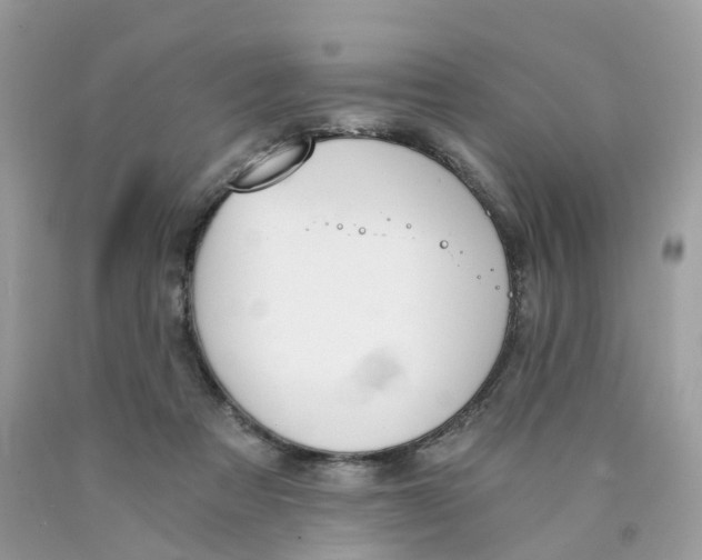 X0000089830313200707262029