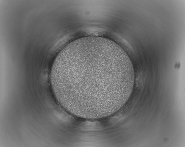 X0000089830314200707262029