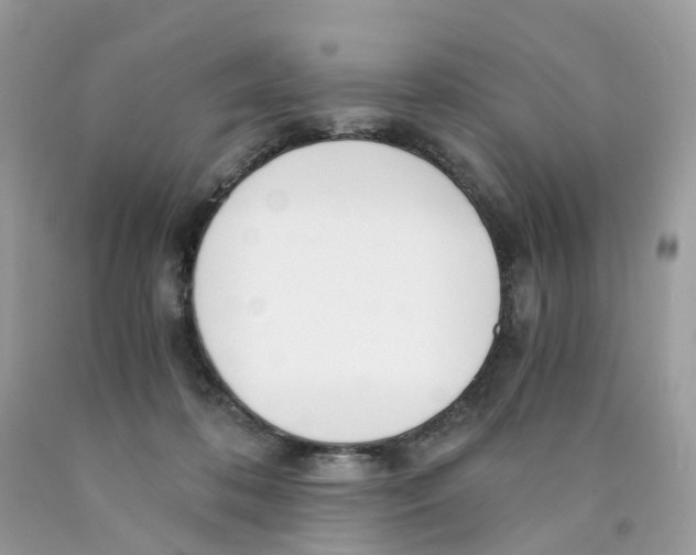 X0000089830316200707262029