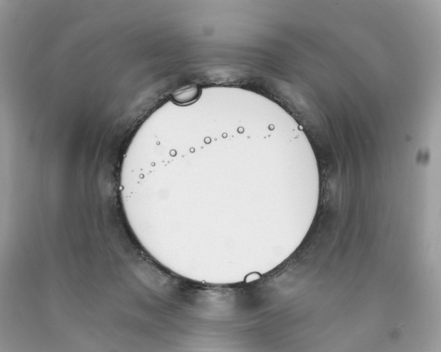 X0000089830317200707262029