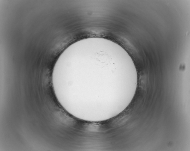 X0000089830318200707262029