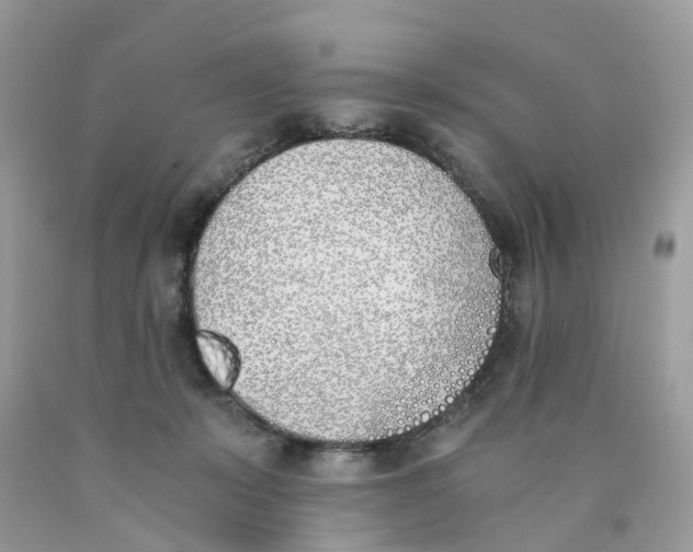 X0000089830319200707262029