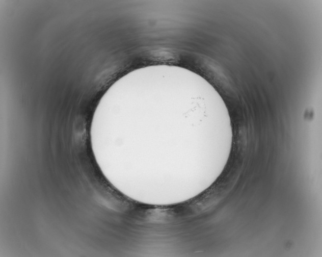 X0000089830320200707262029