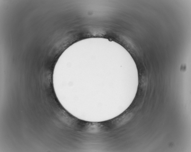 X0000089830321200707262029