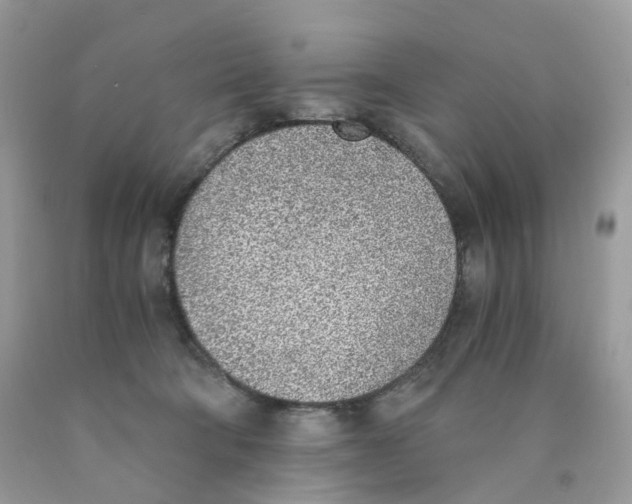 X0000089830322200707262029