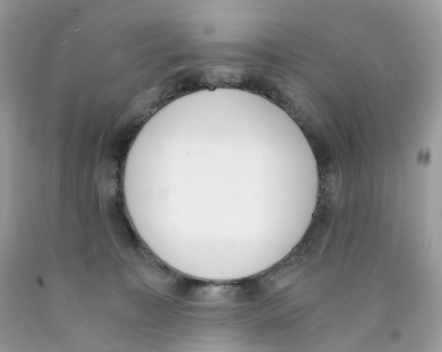 X0000089830323200707262029