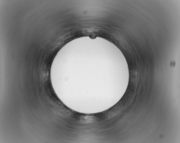 X0000089830324200707262029