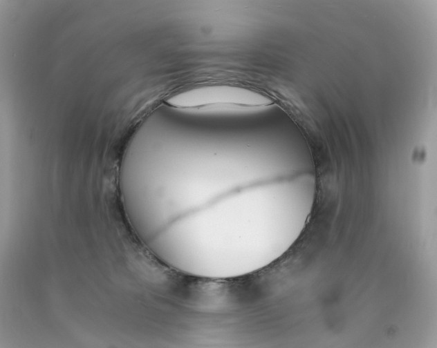 X0000089830325200707262029