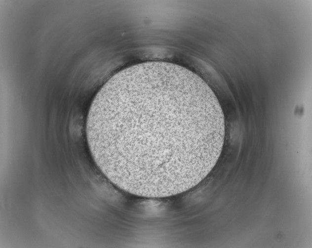 X0000089830326200707262029