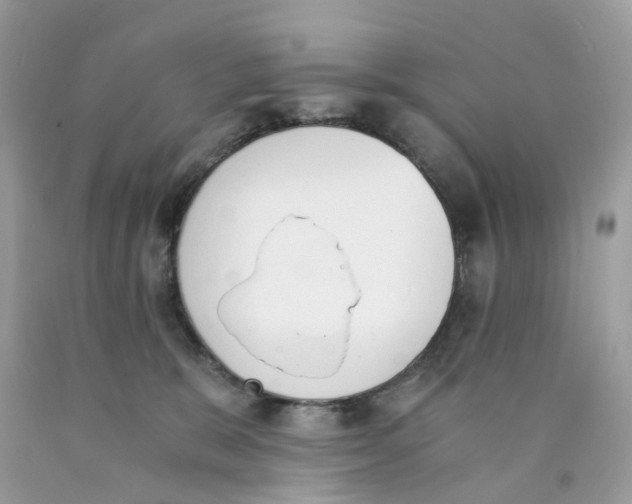 X0000089830327200707262029