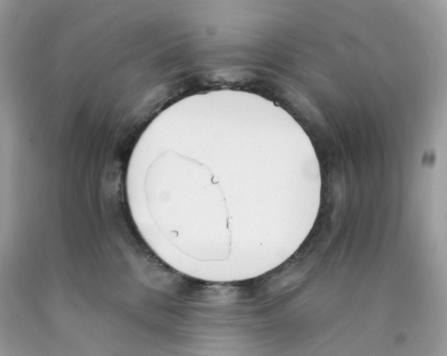 X0000089830328200707262029