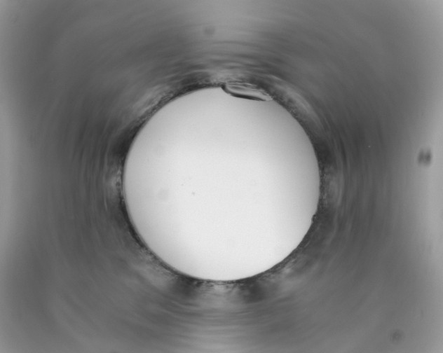 X0000089830329200707262029