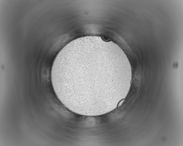 X0000089830330200707262029