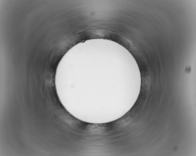 X0000089830331200707262029
