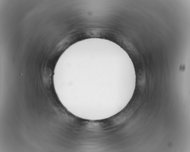 X0000089830332200707262029