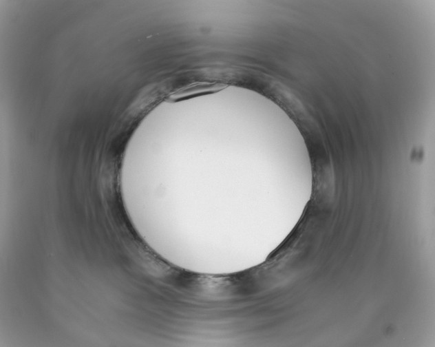 X0000089830333200707262029