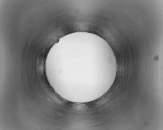 X0000089830334200707262029