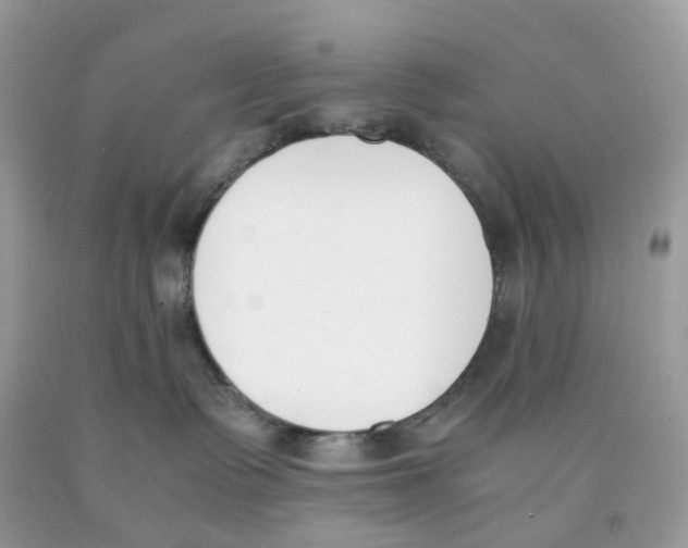 X0000089830335200707262029