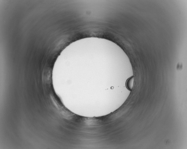X0000089830336200707262029