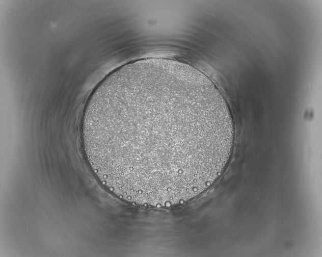 X0000089830337200707262028