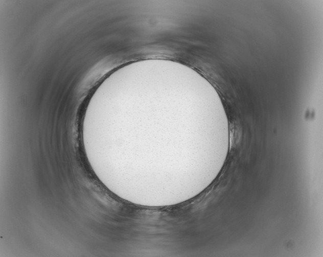 X0000089830339200707262028