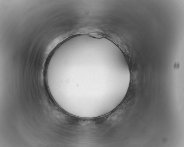 X0000089830340200707262028