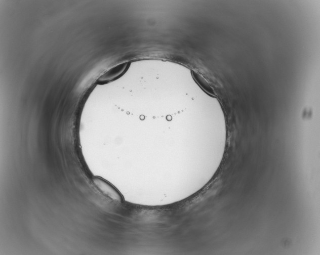 X0000089830341200707262028